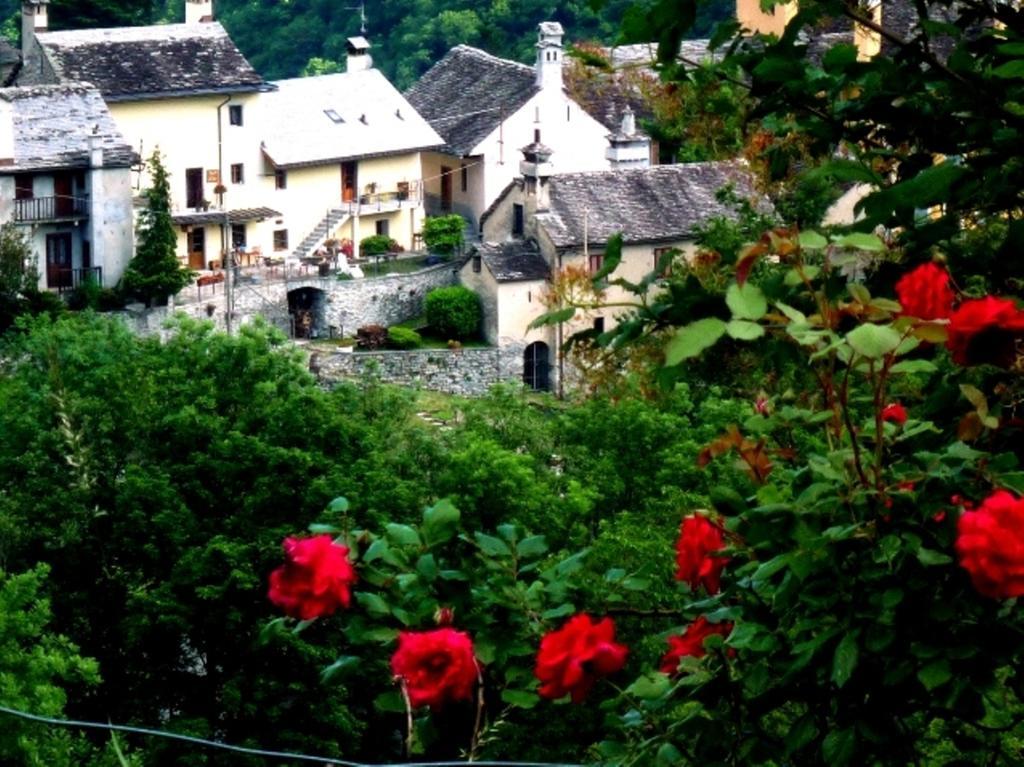 B&B Alpe Veglia Varzo Exterior photo