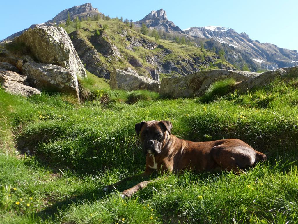 B&B Alpe Veglia Varzo Exterior photo