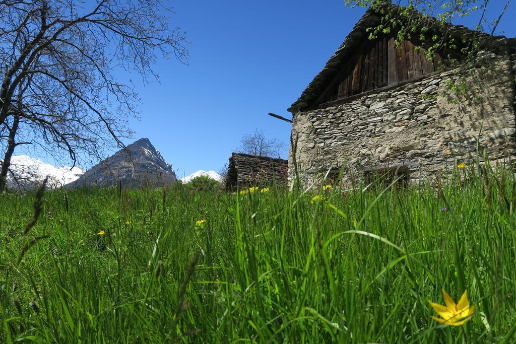B&B Alpe Veglia Varzo Exterior photo