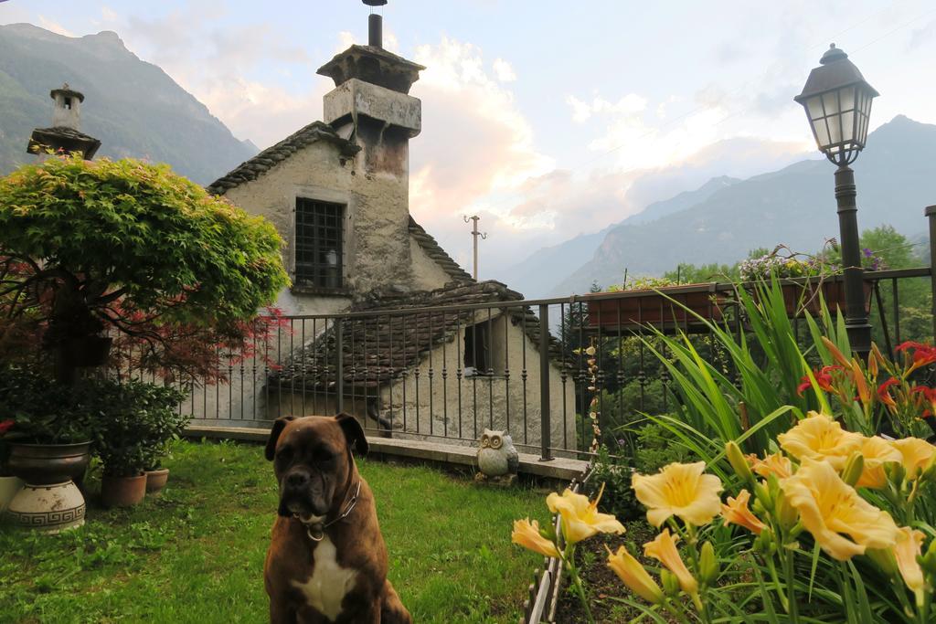 B&B Alpe Veglia Varzo Exterior photo