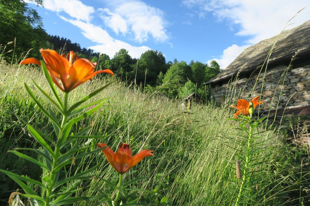 B&B Alpe Veglia Varzo Exterior photo